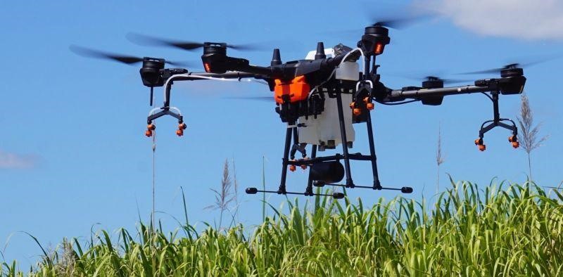 Drones para la agricultura: estadisticas de uso en España