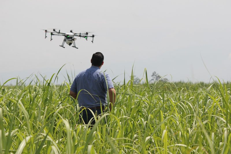 Utilidades de drones en la agricultura
