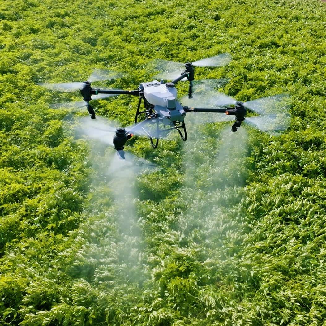 Agras_T50-potato_field1