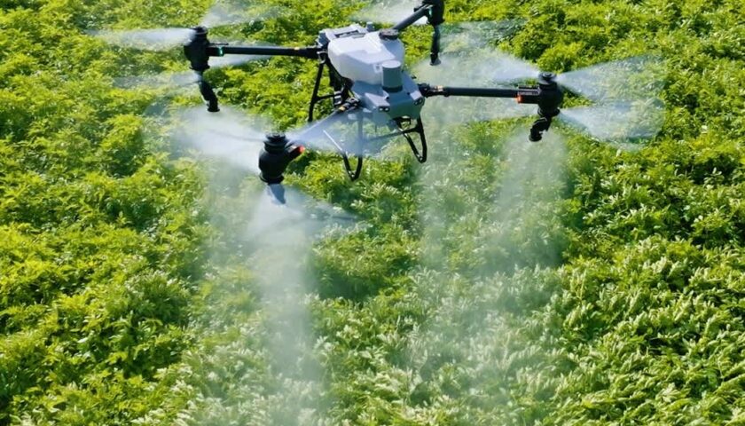 Agras_T50-potato_field1