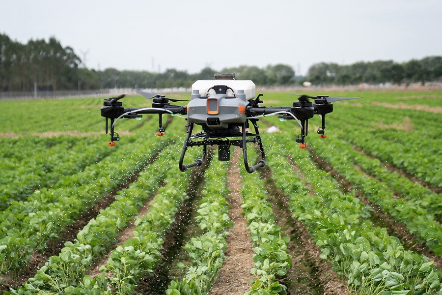 Drone DJI Agras T10 para fumigación agrícola