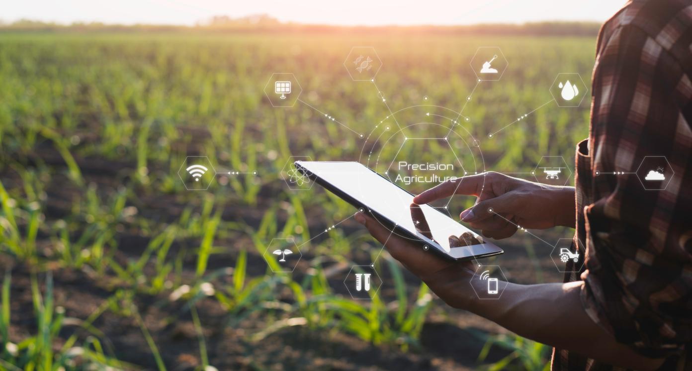 Big Data en agricultura de precisión