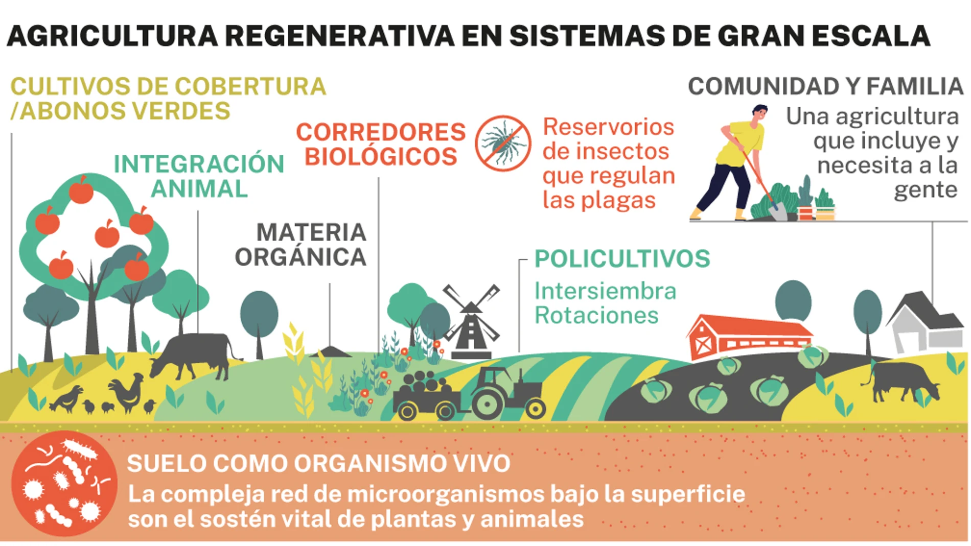 qué es la agricultura regenerativa