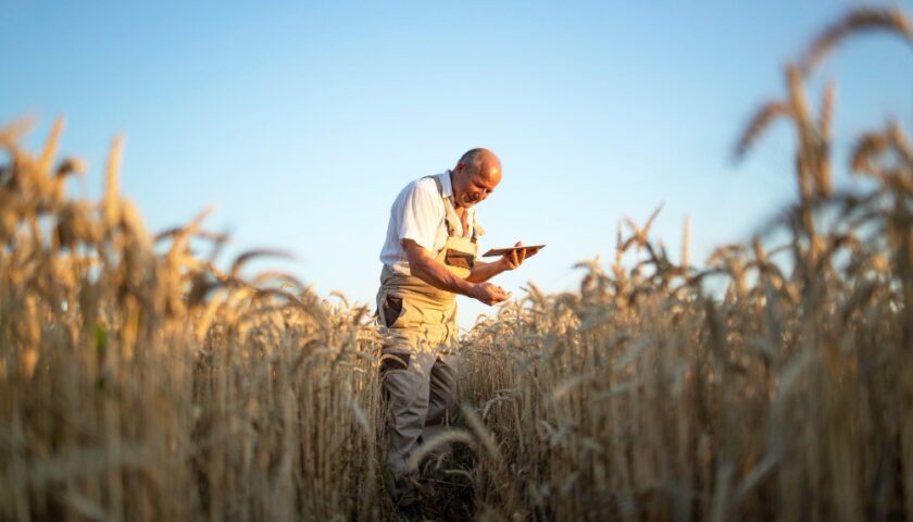 cereales-leguminosas