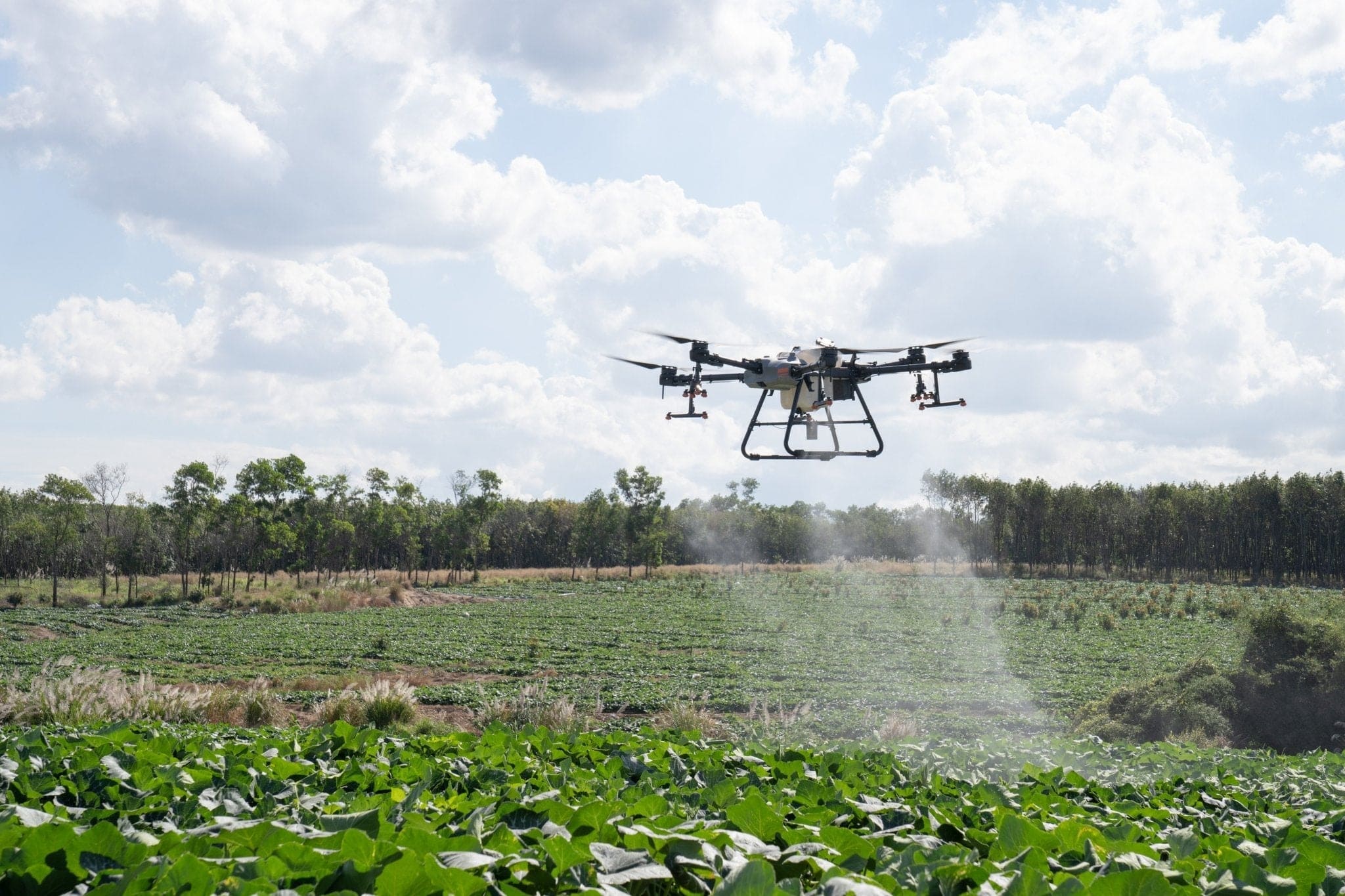 Drones agrícolas trabajando en grandes superficies