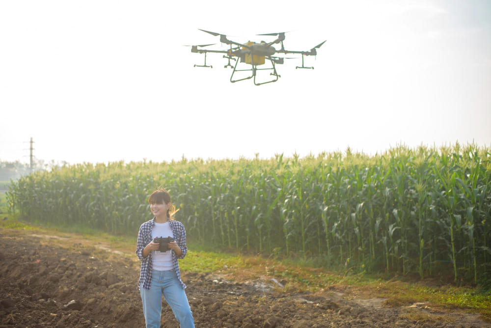 Cuidar los cultivos de maíz y potenciar sus rendimientos