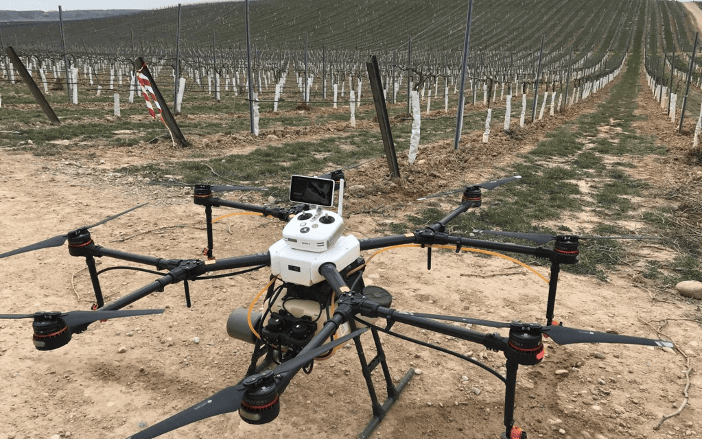 fertilización en cultivo de olivos