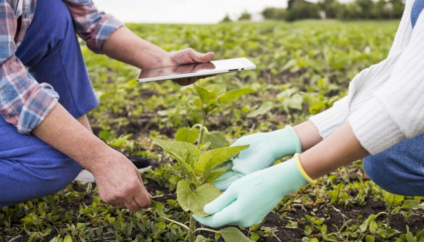 people-farming-together-close-up