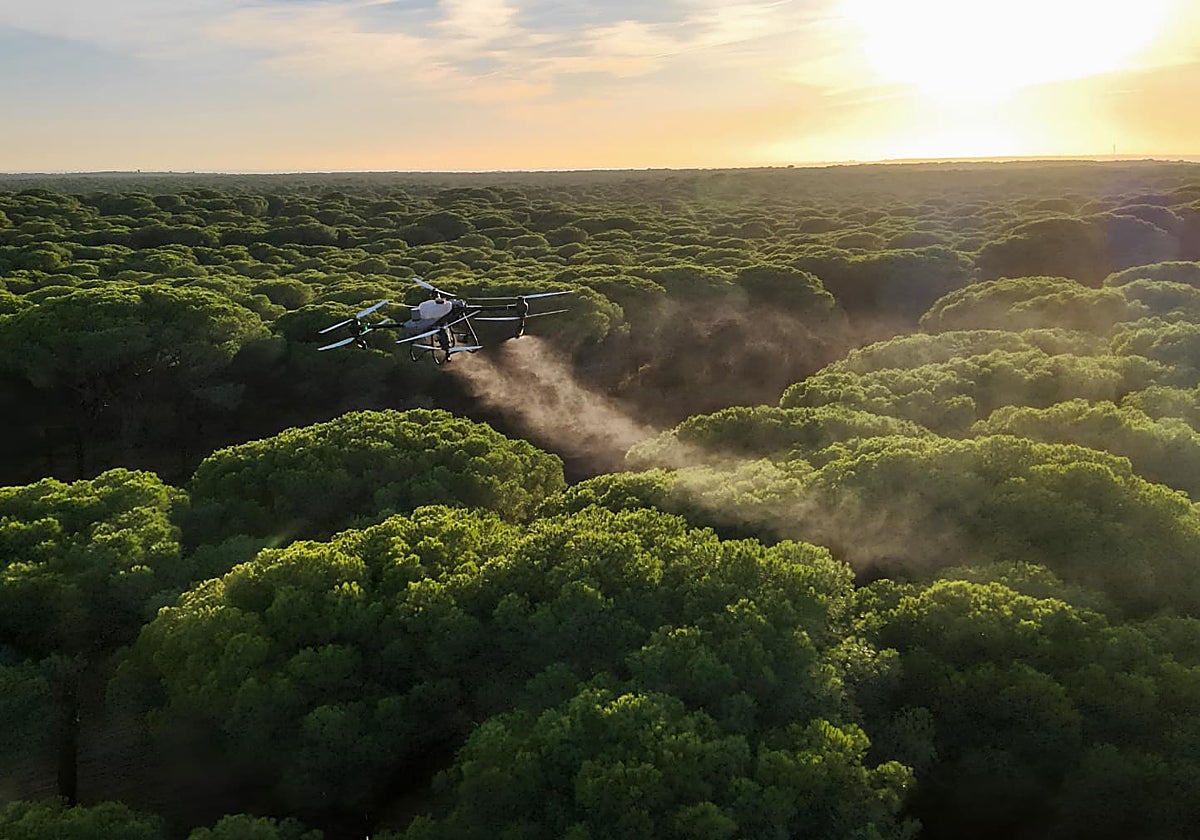 Fumigación de montes