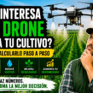 Cómo calcular si te interesa un dron agrícola