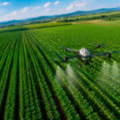 Robótica agrícola: cómo drones y robots automatizan la siembra y la cosecha