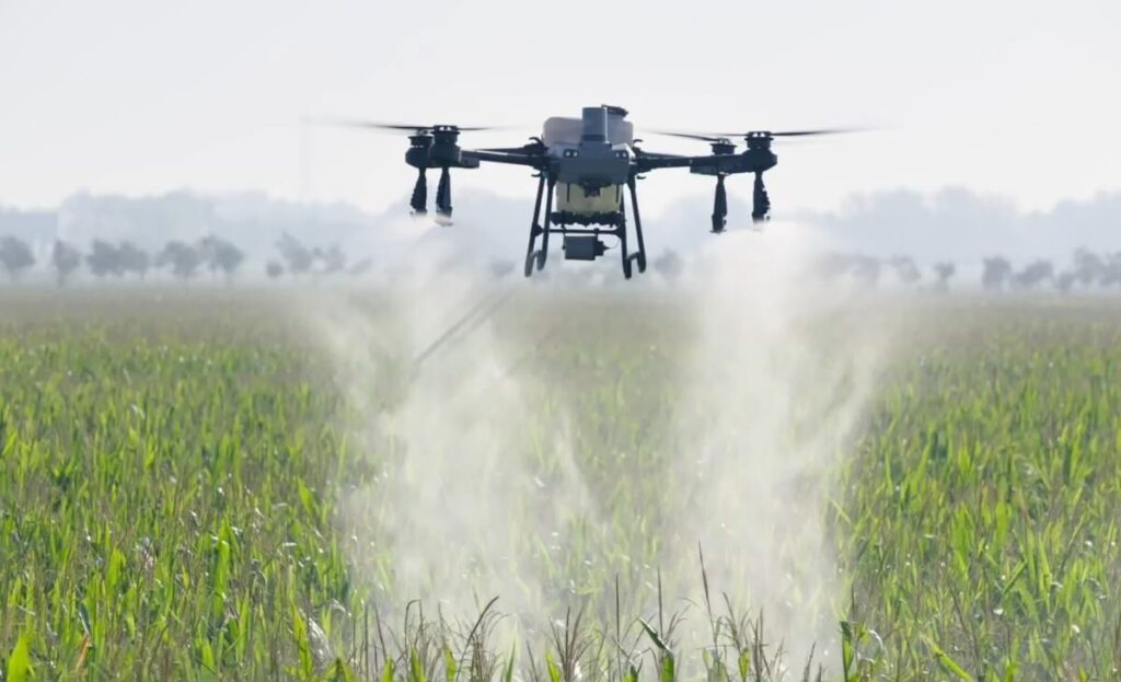DJI Agras T25 pulverizando un campo de cereal
