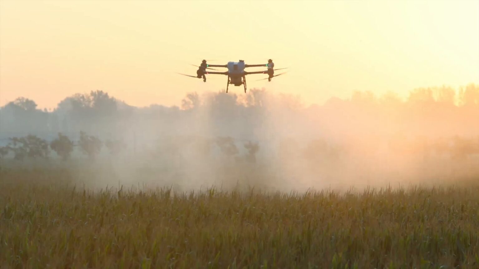 Dron agrícola DJI Agras T50 pulverizando un cultivo