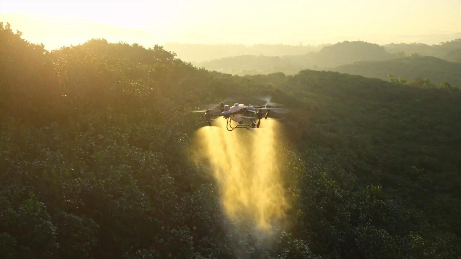DJI Agras T50 pulverizando sobre un valle al amanecer