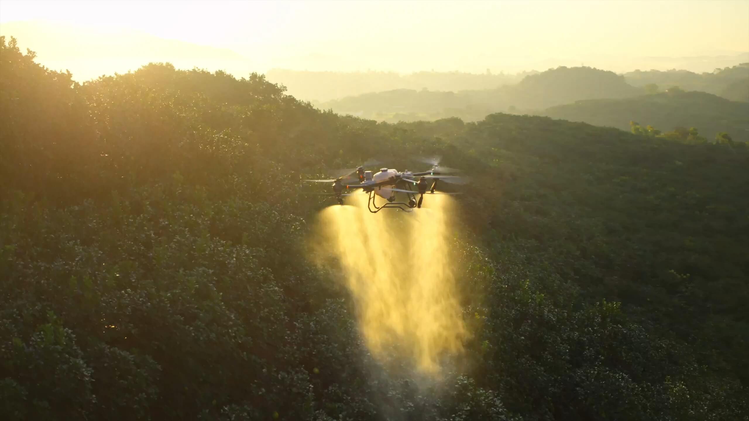Dron agrícola DJI Agras pulverizando un cultivo al amanecer
