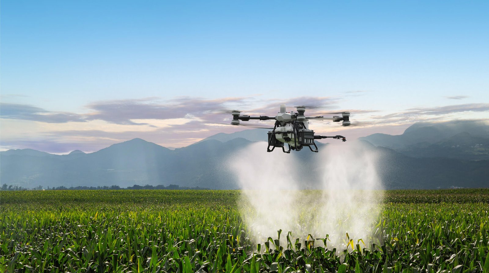 Dron agrícola DJI Agras T100 pulverizando un cultivo de maíz