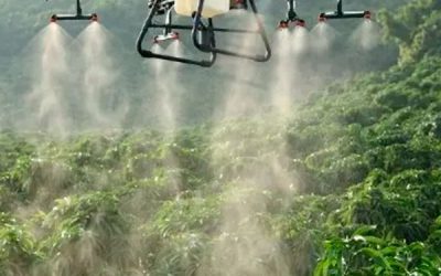 control-de-algas control-de-algas