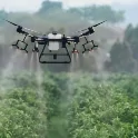 Uso de dron en vid y zona leñosa